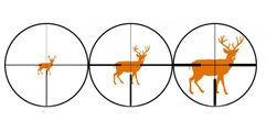 Die numerische Bedeutung des Zielfernrohrs